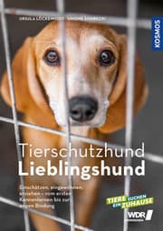 Cover von Tierschutzhund Lieblingshund