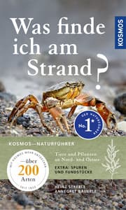 Cover von Was finde ich am Strand?