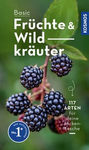 Cover von BASIC Früchte und Wildkräuter