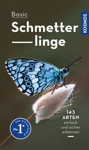 Cover von Basic Schmetterlinge