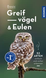 Cover von Basic Greifvögel und Eulen