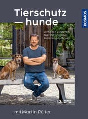Cover von Tierschutzhunde