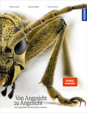 Cover von Von Angesicht zu Angesicht