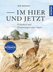 Cover von Im Hier und Jetzt