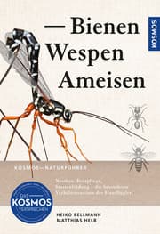 Cover von Bienen, Wespen, Ameisen