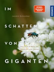 Cover von Im Schatten von Giganten