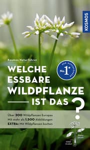 Cover von Welche essbare Wildpflanze ist das?