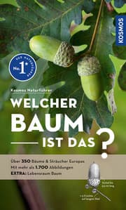 Cover von Welcher Baum ist das?