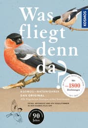 Cover von Was fliegt denn da? Das Original