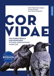 Cover von Corvidae