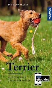 Cover von KOSMOS eBooklet: Terrier - Ursprung, Wesen, Haltung
