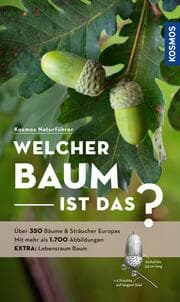 Cover von Welcher Baum ist das?