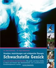Cover von Schwachstelle Genick