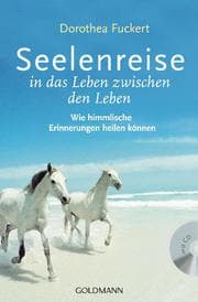 Cover von Seelenreise in das Leben zwischen den Leben