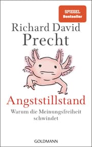 Cover von Angststillstand