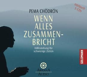 Cover von Wenn alles zusammenbricht