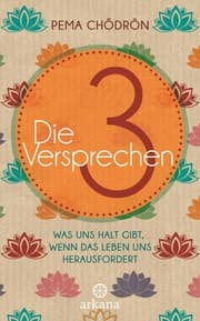 Cover von Die 3 Versprechen