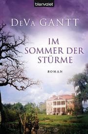 Cover von Im Sommer der Stürme