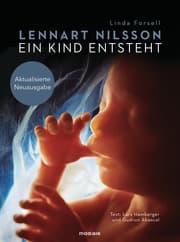Cover von Ein Kind entsteht