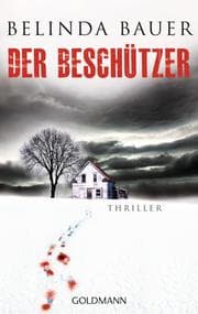 Cover von Der Beschützer