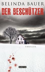 Cover von Der Beschützer