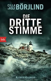 Cover von Die dritte Stimme