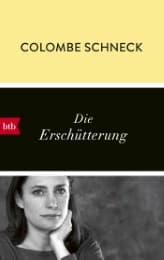 Cover von Die Erschütterung