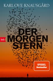 Cover von Der Morgenstern