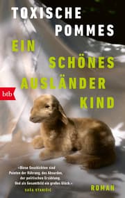 Cover von Ein schönes Ausländerkind