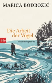 Cover von Die Arbeit der Vögel