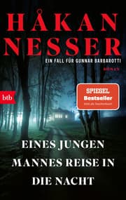 Cover von Eines jungen Mannes Reise in die Nacht