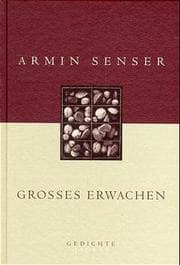 Cover von Großes Erwachen