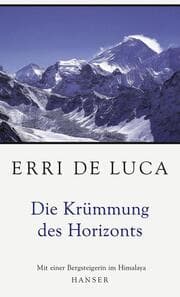 Cover von Die Krümmung des Horizonts