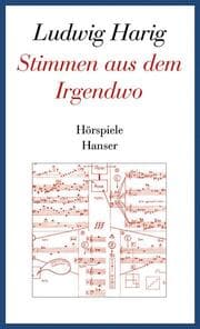 Cover von Stimmen aus dem Irgendwo