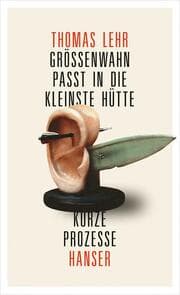 Cover von Größenwahn passt in die kleinste Hütte