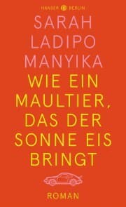 Cover von Wie ein Maultier, das der Sonne Eis bringt