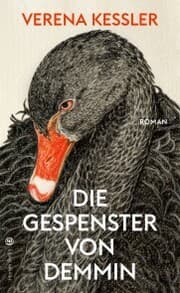 Cover von Die Gespenster von Demmin