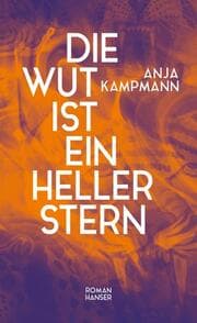 Cover von Die Wut ist ein heller Stern