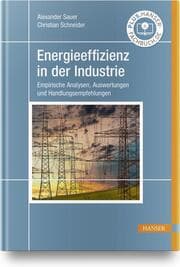 Cover von Energieeffizienz in der Industrie