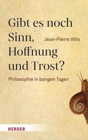Cover von Gibt es noch Sinn, Hoffnung und Trost?