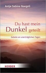 Cover von Du hast mein Dunkel geteilt