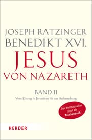 Cover von Jesus von Nazareth II