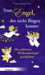 Cover von Vom Engel, der nicht fliegen konnte
