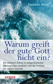 Cover von Warum greift der gute Gott nicht ein?