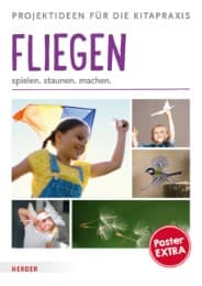 Cover von Fliegen