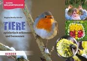 Cover von Kleine Waldentdecker: Tiere