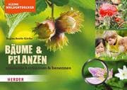 Cover von Kleine Waldentdecker: Bäume & Pflanzen