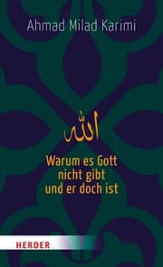 Cover von Warum es Gott nicht gibt und er doch ist