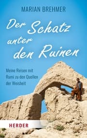Cover von Der Schatz unter den Ruinen
