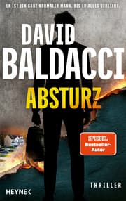 Cover von Absturz